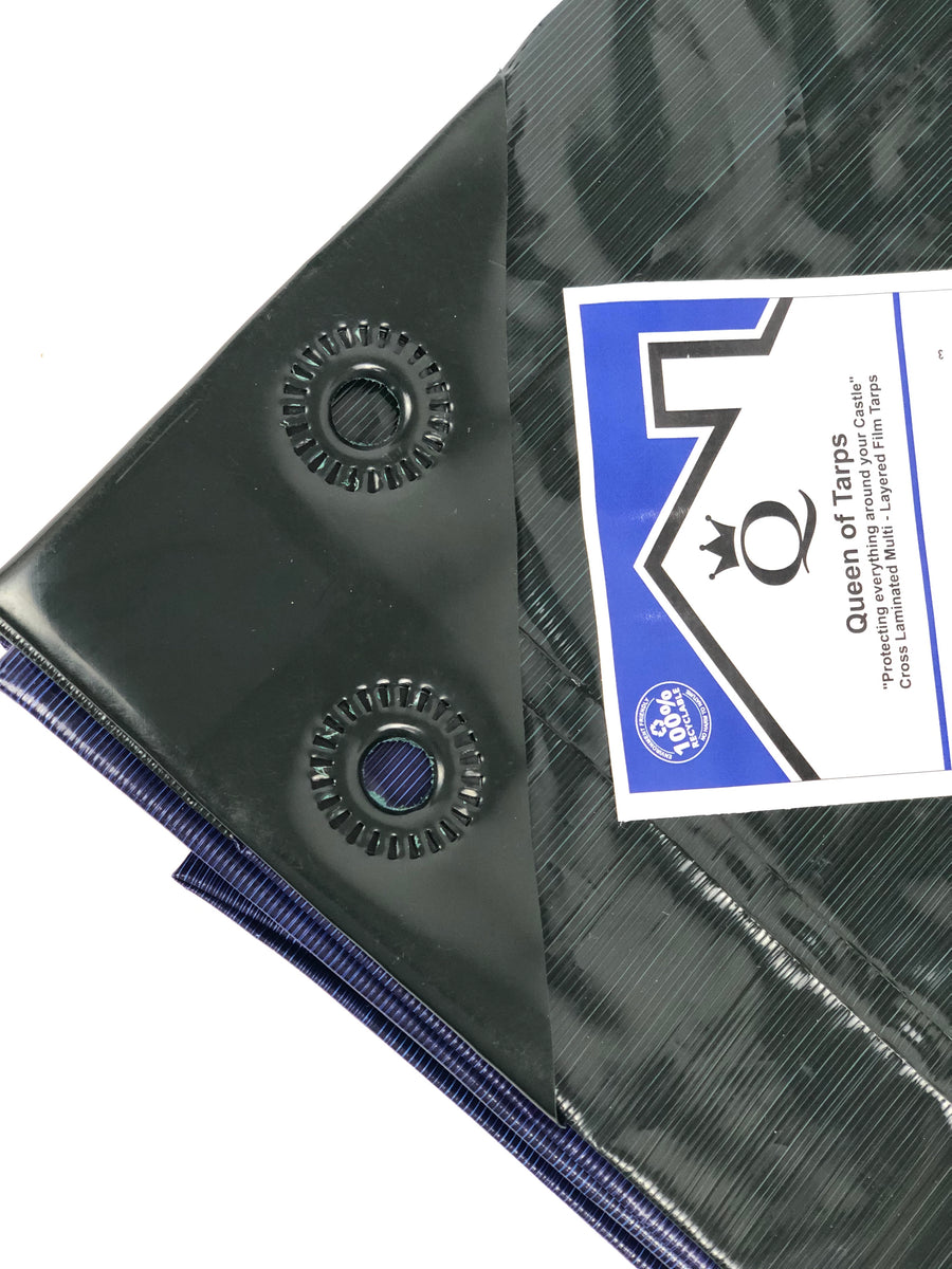 Tarps - Heavy Duty Blue / Green Reversible Color 120 GSM MOX Film